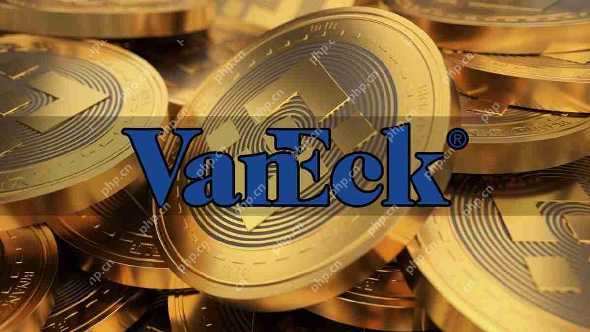 使用SEC的Vaneck文件启动了BNB交换基金（ETF）。